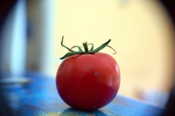 photo credit: dirty tomato via photopin (license)